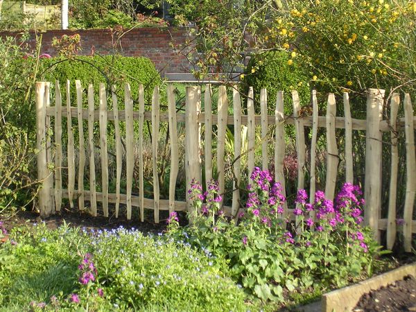 Woodland Craft Fencing