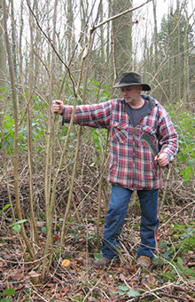 Handmade Hazel Fencing