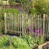 Woodland Craft Fencing